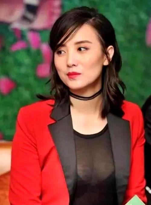 宋佳婚姻资料,婚姻波折与人生感悟