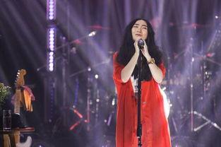 好声音王拓背景