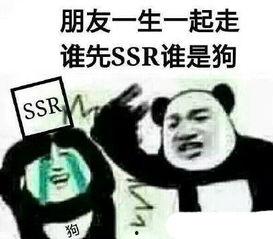桑心 表情包,网络时代的情感共鸣符号
